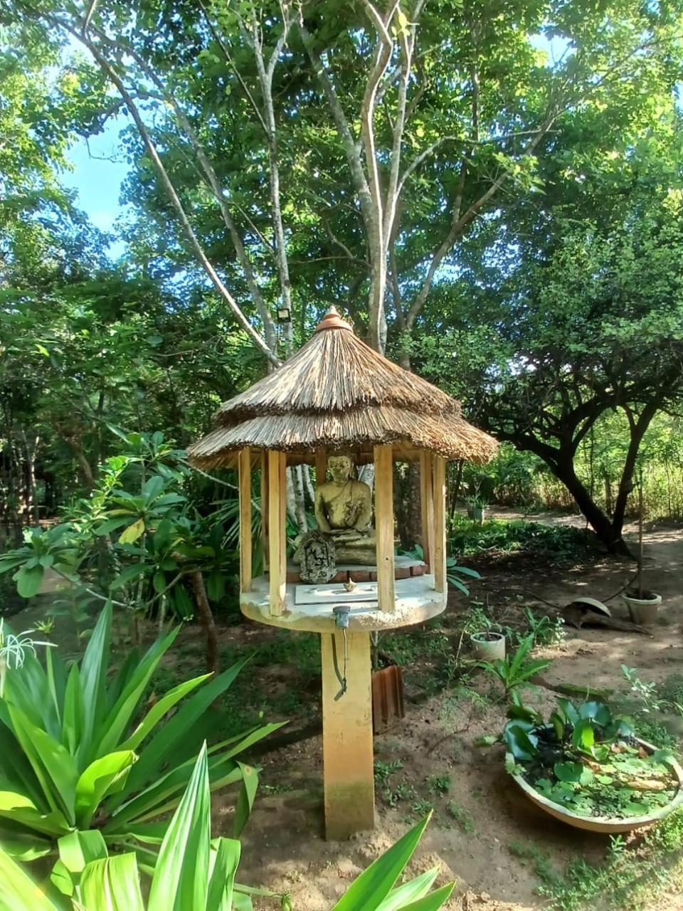 Villa הבאראנה מראה חיצוני תמונה