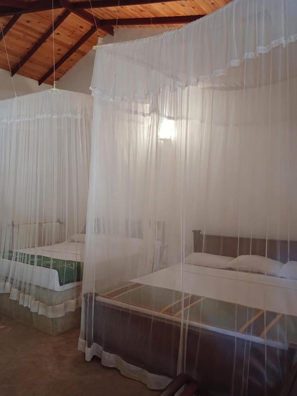 Villa הבאראנה מראה חיצוני תמונה