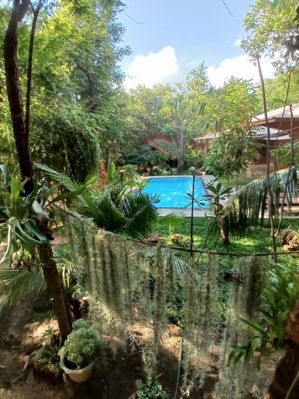 Villa הבאראנה מראה חיצוני תמונה