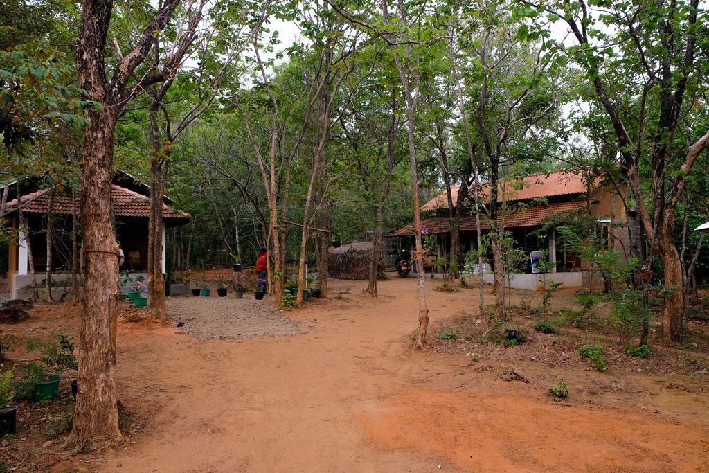 Villa הבאראנה מראה חיצוני תמונה